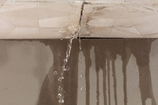 Professional Water Damage Repair technician working in Vashon, WA